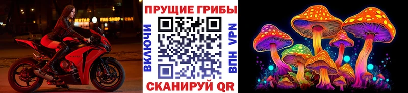 где купить наркоту  Красноперекопск  Псилоцибиновые грибы Cubensis 